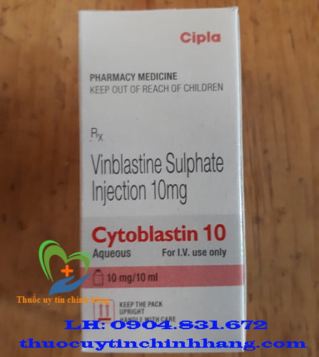 Thuốc Cytoblastin 10 giá bao nhiêu