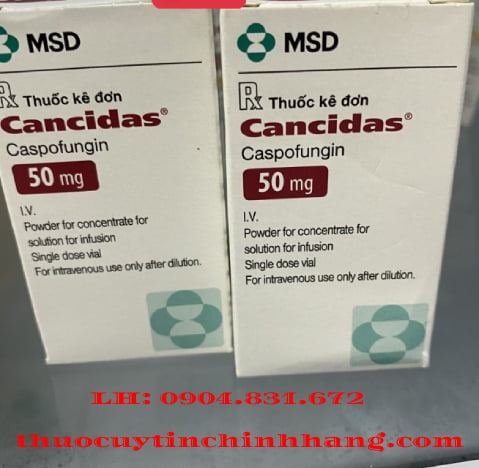 Thuốc Cancidas 50mg giá bao nhiêu