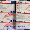 Thuốc Piperacillin giá bao nhiêu