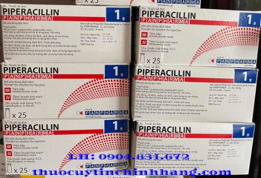 Thuốc Piperacillin giá bao nhiêu