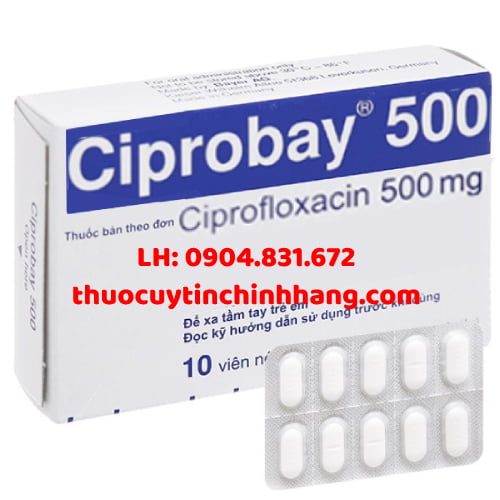 Thuốc Ciprobay 500 giá bao nhiêu